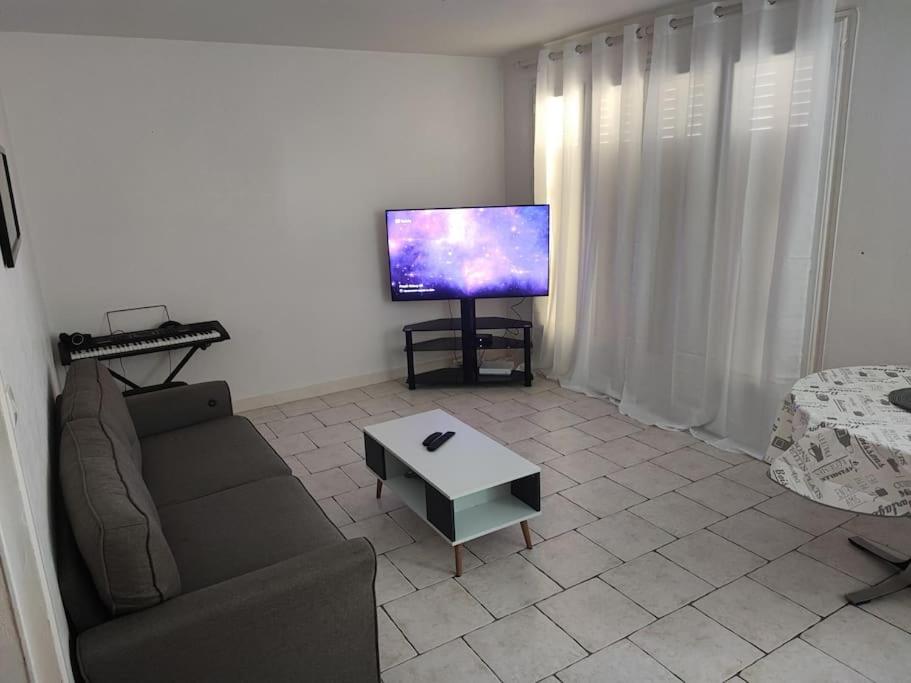 salon z kanapą i telewizorem z płaskim ekranem w obiekcie F3 plein centre ville de Gien w mieście Gien