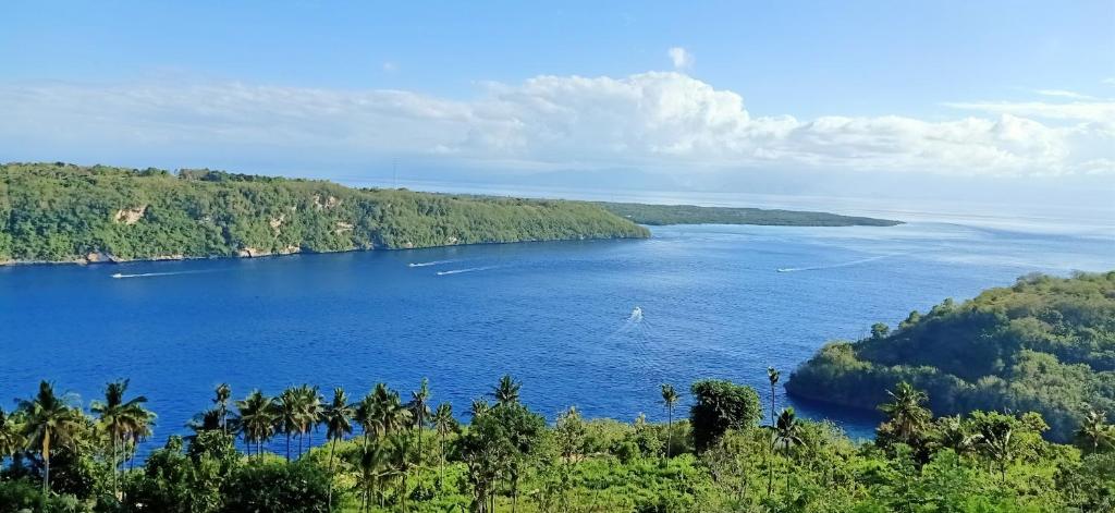 Gamat Garden Homestay - 7