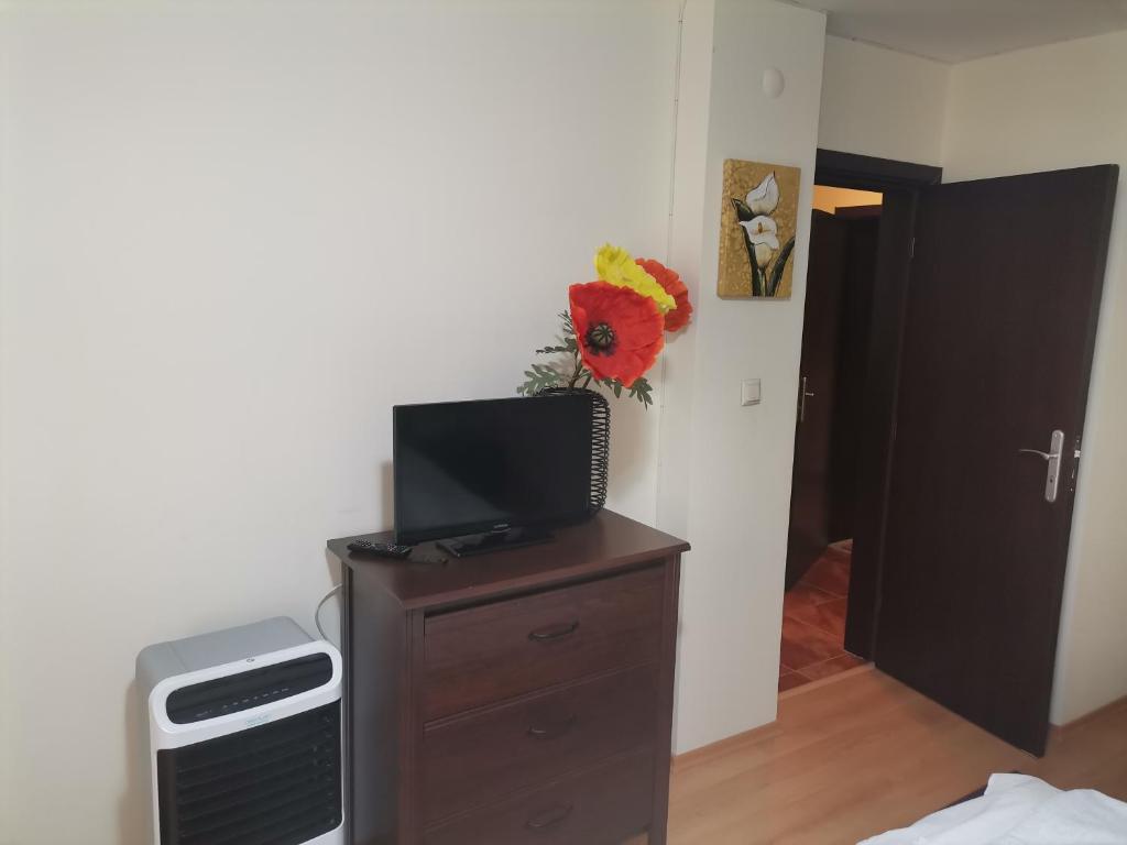 Fotografie z fotogalerie ubytování APARTMENT ANA/ АПАРТАМЕНТ АНА v destinaci Pamporovo