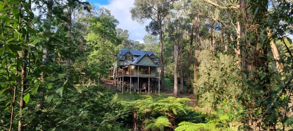 a house in the middle of a forest at Emerald Retreat in Emerald