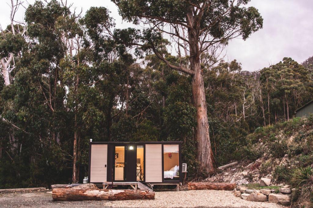 a tiny house in the woods with a tree at Pirates Retreat in Eaglehawk Neck