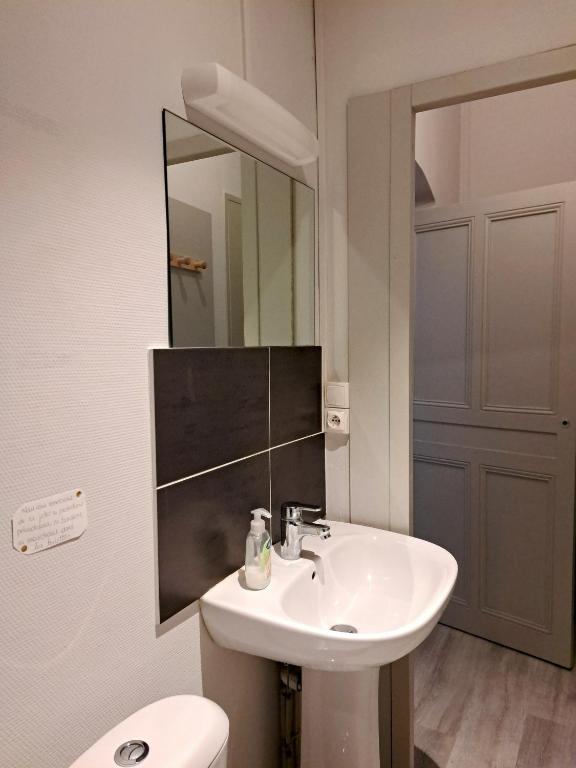 a bathroom with a sink and a toilet and a mirror at La Maison du Bonheur - Logement entier de 39 m2 in Bourg-en-Bresse