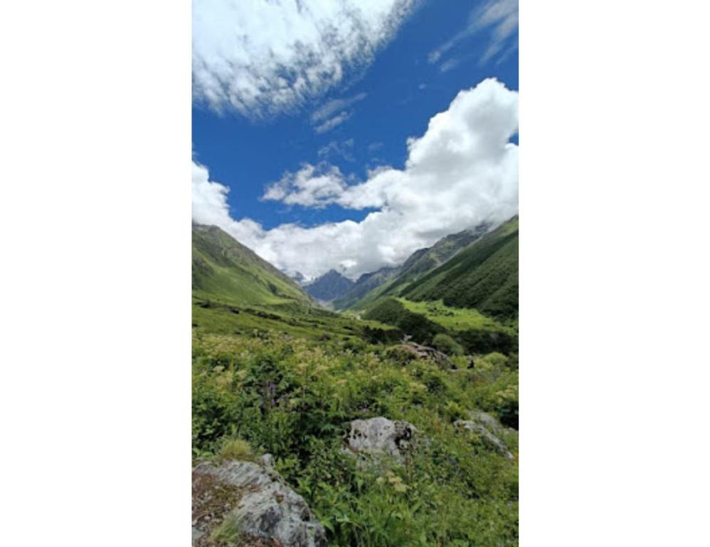 - une vue sur une vallée avec des montagnes en arrière-plan dans l'établissement Valley of flowers Holiday Inn, Ghangaria, à Lokpāl