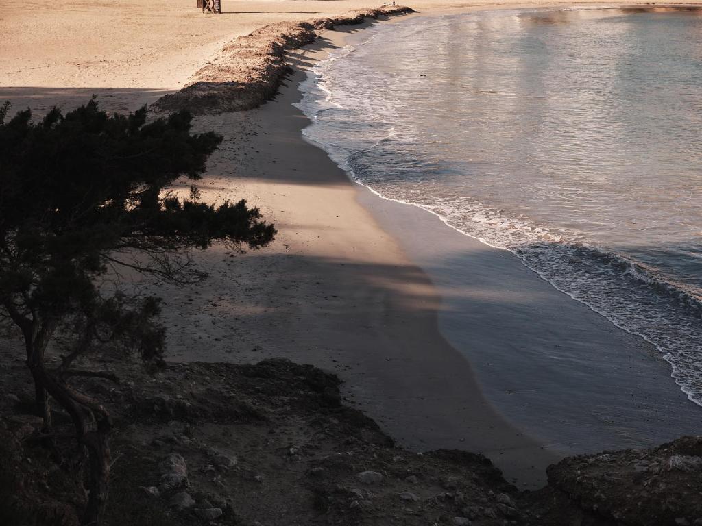 Hyde Ibiza, Cala Llonga – ceny aktualizovány 2023