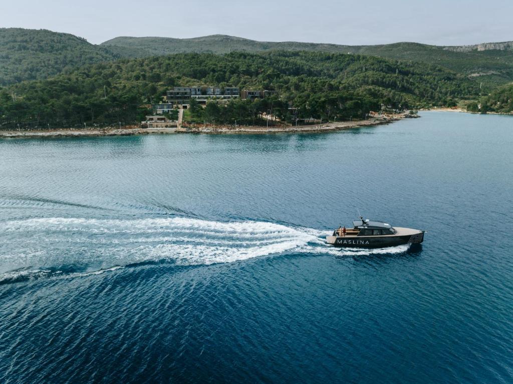 a boat in a large body of water at Maslina Resort in Stari Grad