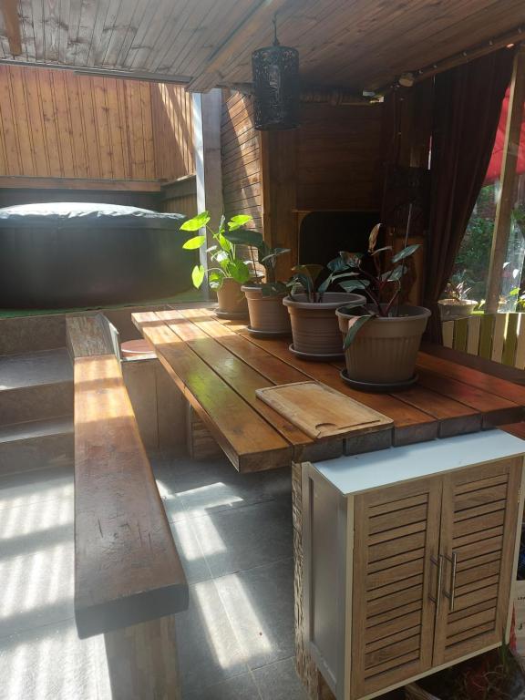 a wooden table with potted plants on a patio at Ti Coin Des hauts de saint joseph 974 in Saint-Joseph