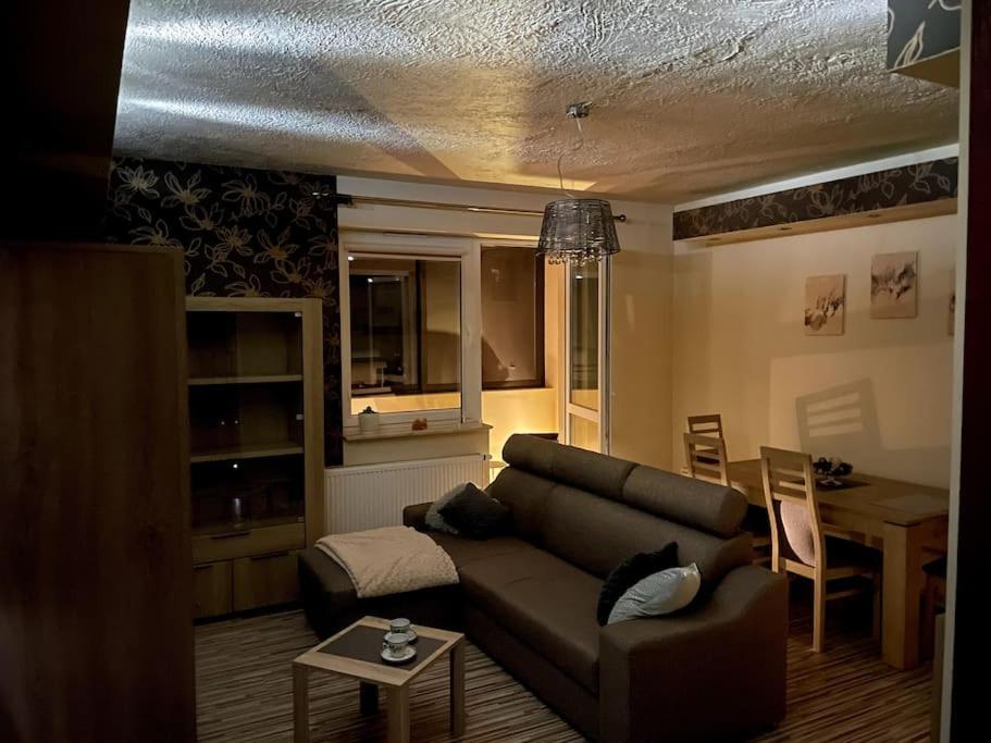 ein Wohnzimmer mit einem Sofa und einem Tisch in der Unterkunft Apartament Moniuszki in Biłgoraj