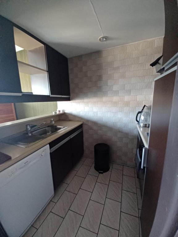 Kuchyň nebo kuchyňský kout v ubytování Appartement classé 3 étoiles avec superbe vue