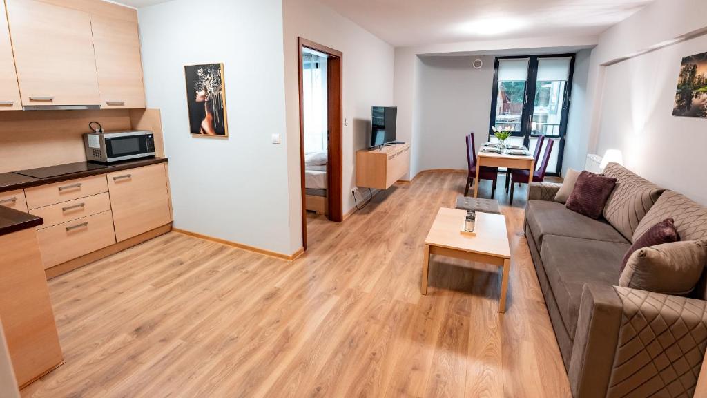 Apartamenty Sun & Snow Centrum Krynica Zdrój - One-Bedroom Apartment