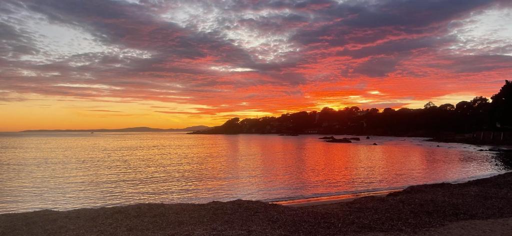 un coucher de soleil sur une étendue d'eau plantée d'arbres dans l'établissement Merazur, à Saint-Raphaël