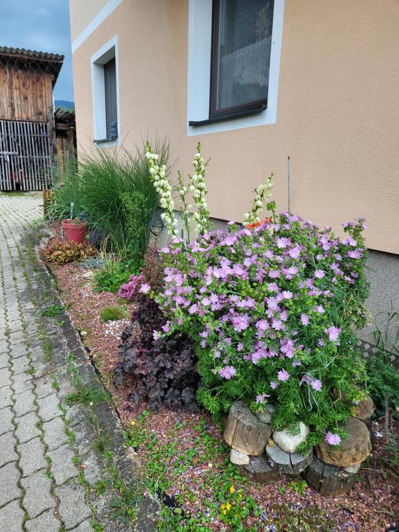 Zahrada ubytování Haus Petra