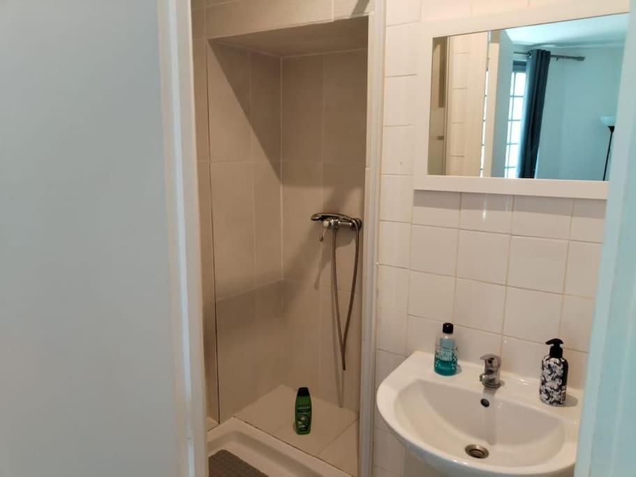 a small bathroom with a sink and a shower at Studio Saint-Jacques in Paris