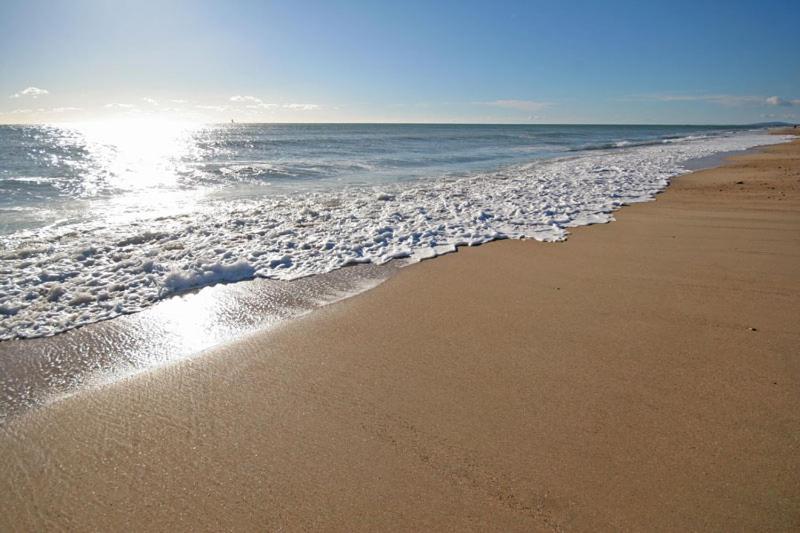 una playa con el océano y la costa en APPARTEMENT T2 4 PERSONNES LES PIEDS DANS L EAU ENTRE LA GRANDE MOTTE ET PALAVAS A CARNON PLAGE, en Mauguio