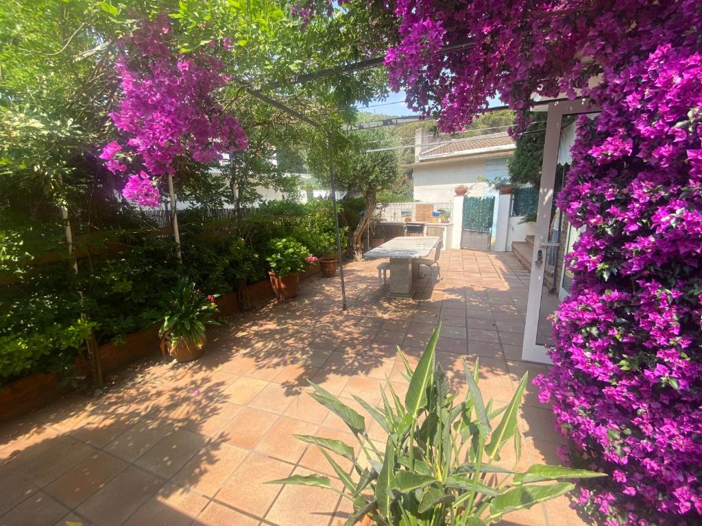 einen Garten mit lila Blumen und einer Bank in der Unterkunft RIERA BAIXOS in Tamariu