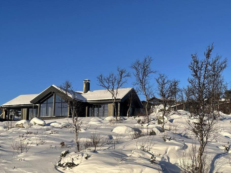 une maison recouverte de neige avec des arbres devant elle dans l'établissement Ny kvalitetshytte-158 m2-Kikut!, à Flatåker