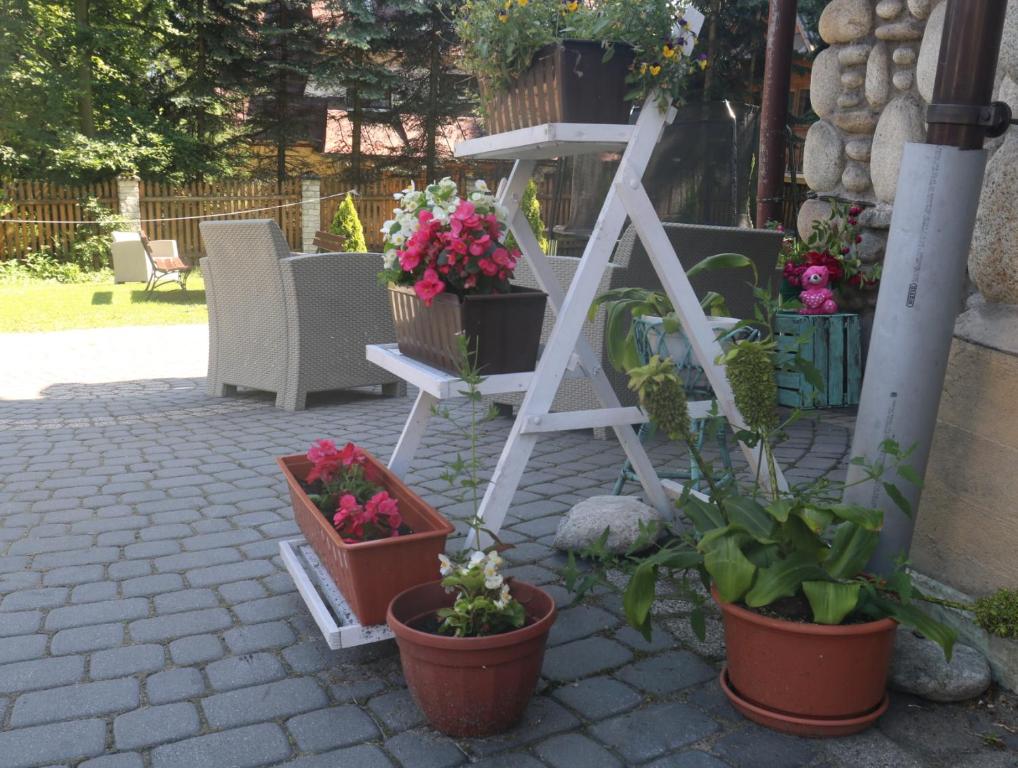 Zahrada ubytování Smyrecek-centrum Bukowiny