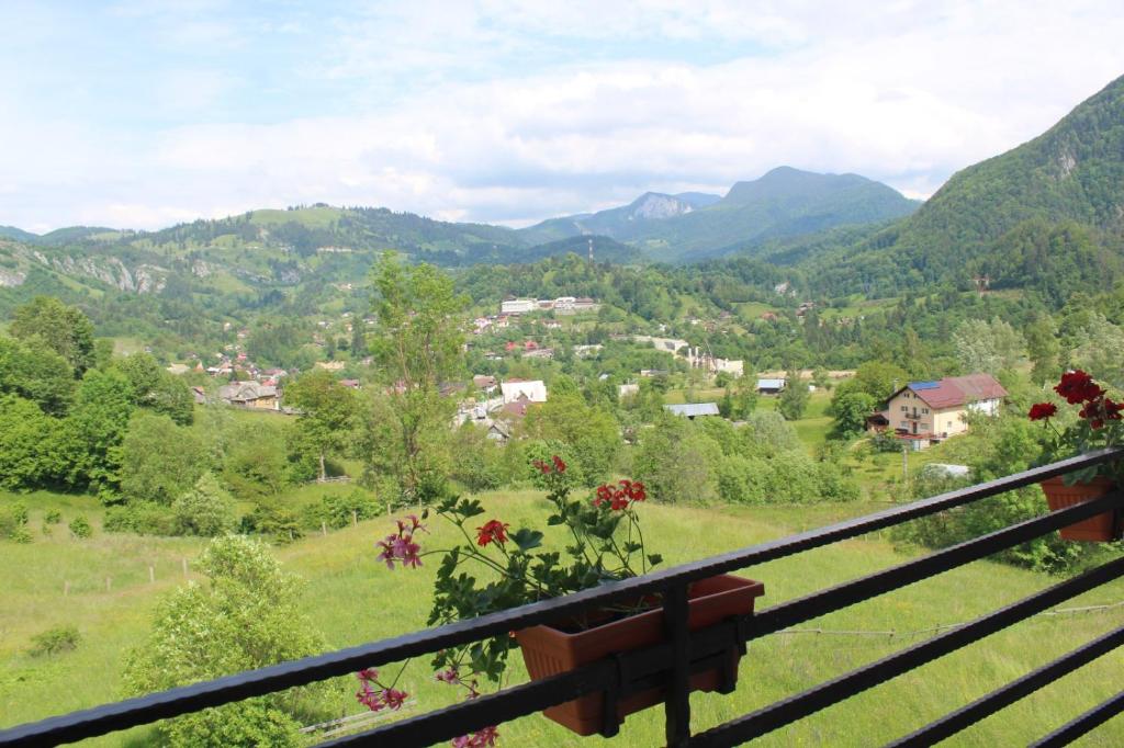 a view from a balcony of a valley with mountains at Popas de munte Dâmbovicioara in Podu Dîmboviţei