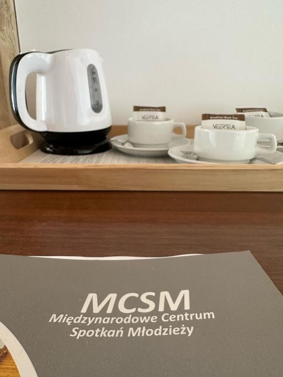 Hotel Mlyn Torun - dawne MCSM - Resim 14