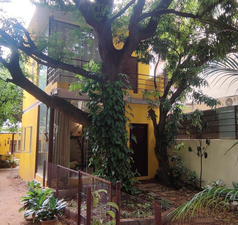 uma árvore em frente a um edifício amarelo em The Sunshine Bungalow em Bangalore