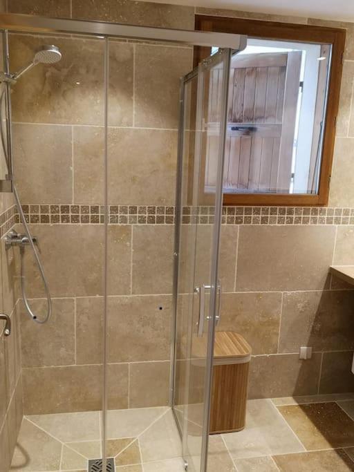 a shower with a glass door in a bathroom at APPARTEMENT DANS CHALET 6 PERSONNES in Vallouise