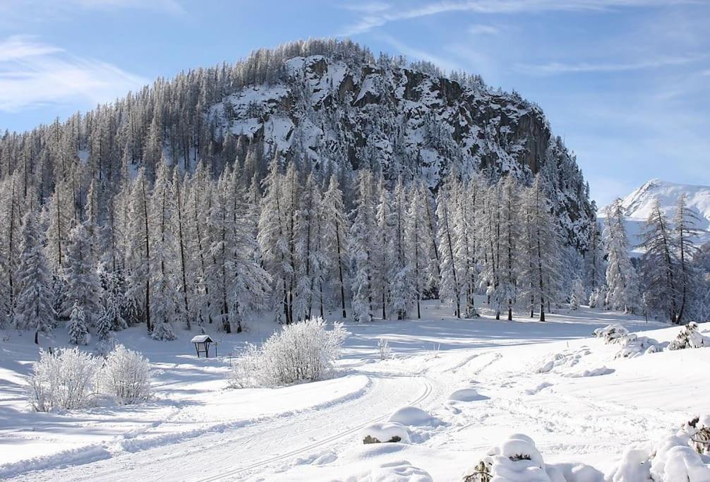 a mountain covered in snow with trees in the background at APPARTEMENT DANS CHALET 6 PERSONNES in Vallouise