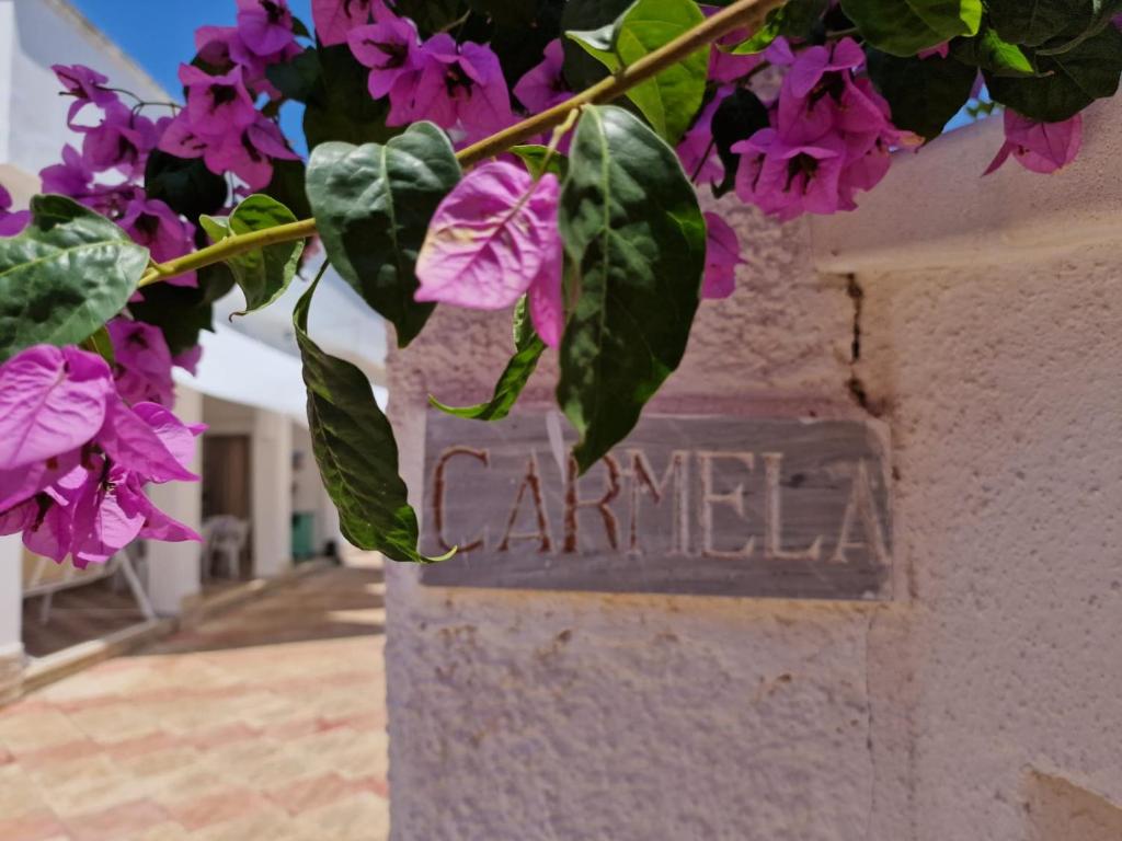 Φωτογραφία από το άλμπουμ του Villa Carmela a San Pietro in Bevagna (TA) σε San Pietro in Bevagna