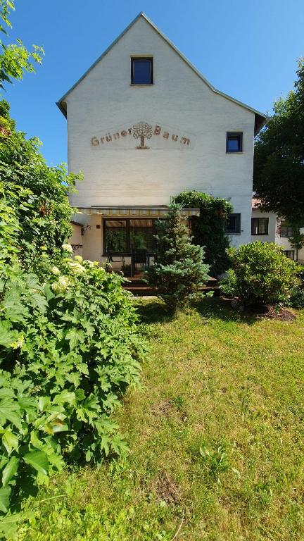 Zahrada ubytování Gasthof Grüner Baum
