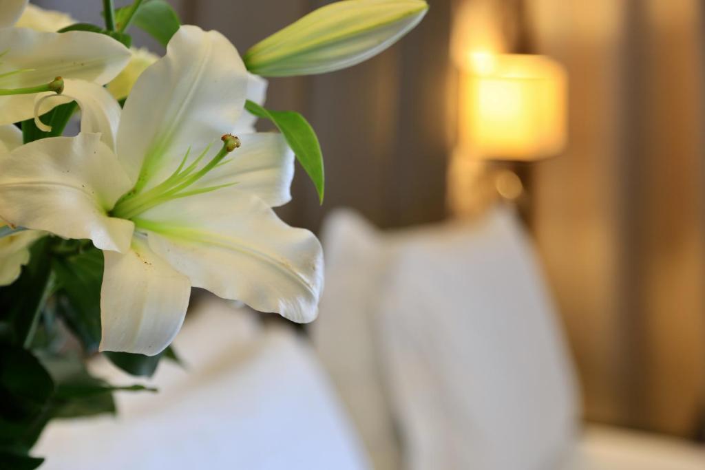 Klima Hotel Milano Fiere - 