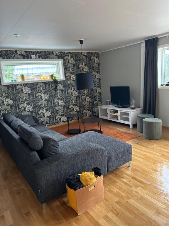 TV a/nebo společenská místnost v ubytování Tärnaby UpHill