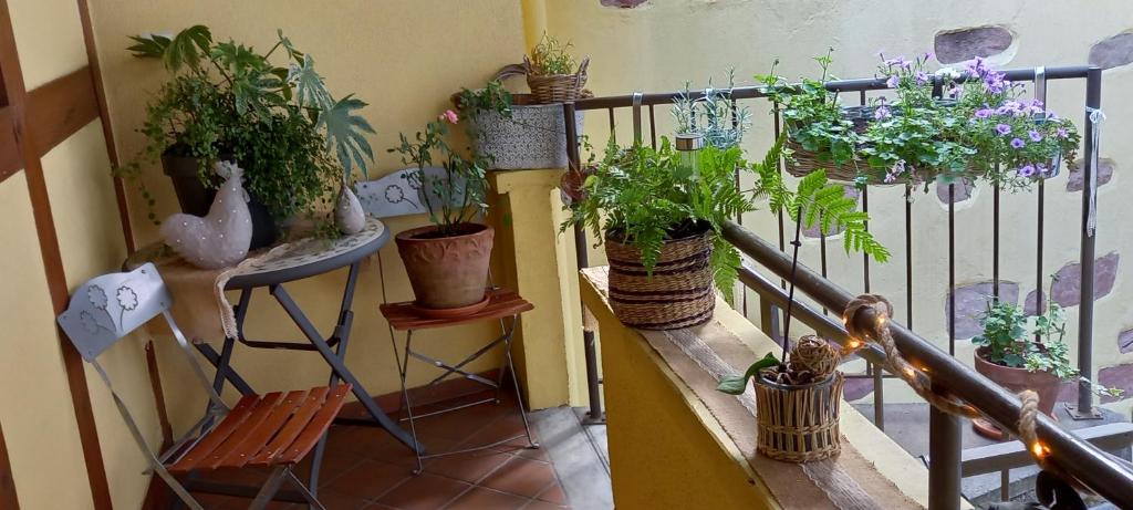 Balkon lub taras w obiekcie S'gleina Gleck, in the heart of a wine city, Charmant Studio 1 pièce et 1 salle de bain