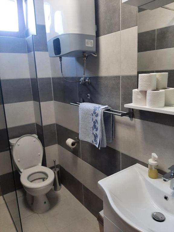 Koupelna v ubytování Ime Ruze apartmani Banja Vrujci