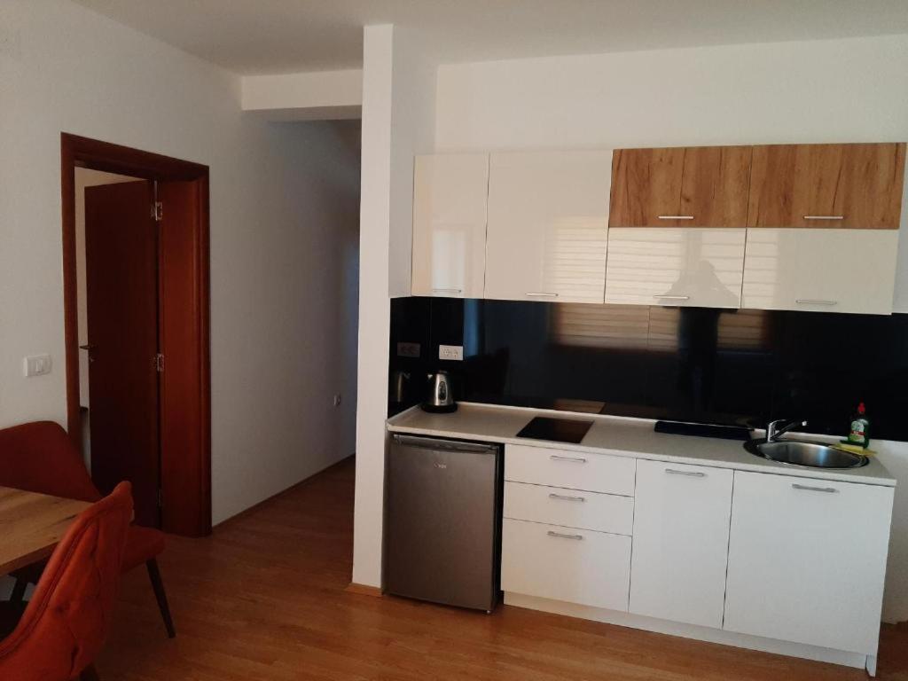 Kuchyň nebo kuchyňský kout v ubytování Ime Ruze apartmani Banja Vrujci
