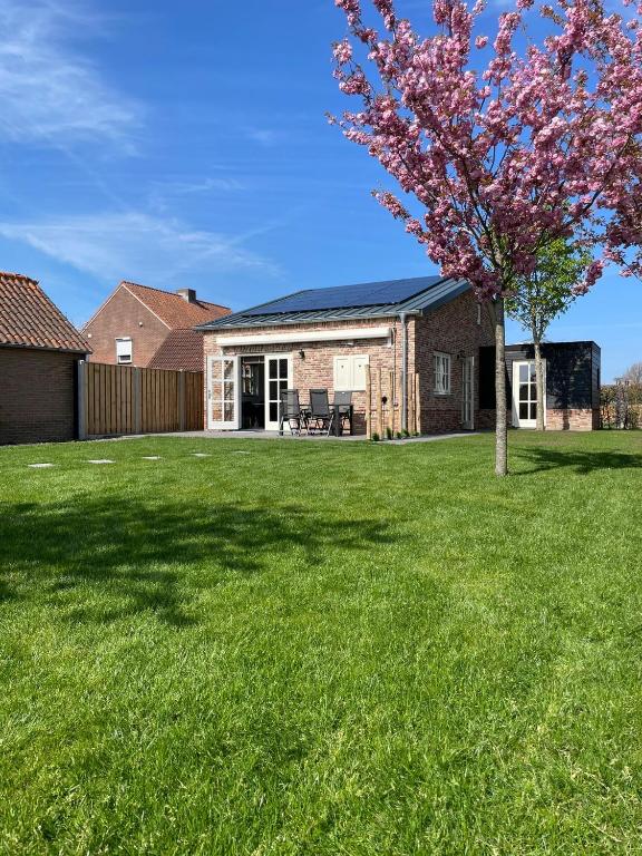 a house with a tree in the yard at Vakantiewoning De Krab in Sint Annaland