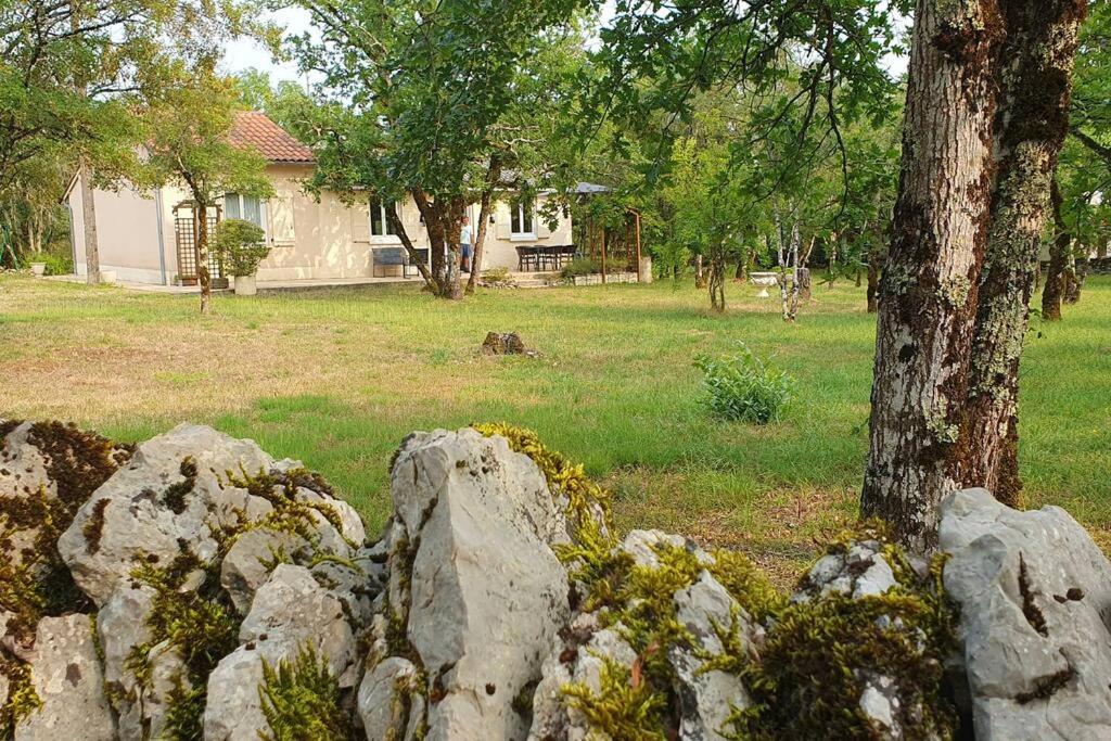 un mur de pierre devant un arbre et une maison dans l'établissement Maison sur un terrain boisé proche de Rocamadour., à Montvalent