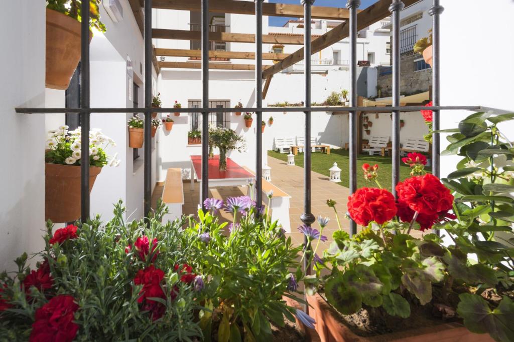 Tarifa Kite Hostel, Tarifa – Bijgewerkte prijzen 2023