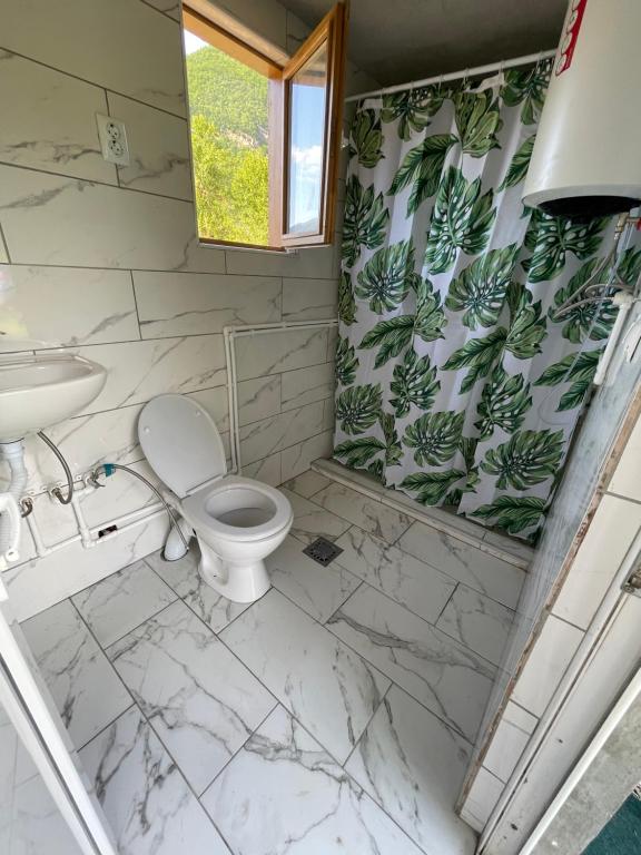 een badkamer met een toilet en een wastafel bij The Blue Eye in Vusanje