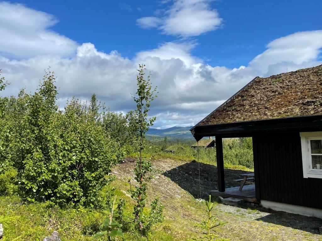 ein Haus auf einem Feld neben einem Gebäude in der Unterkunft Linnaeus - 6 person cabin in Ål