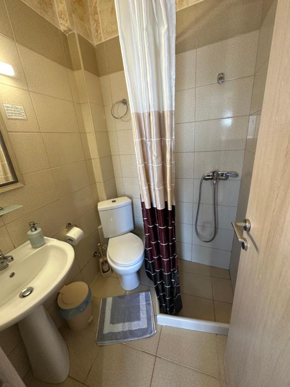 a bathroom with a toilet and a sink and a shower at House With View in Paránimfoi