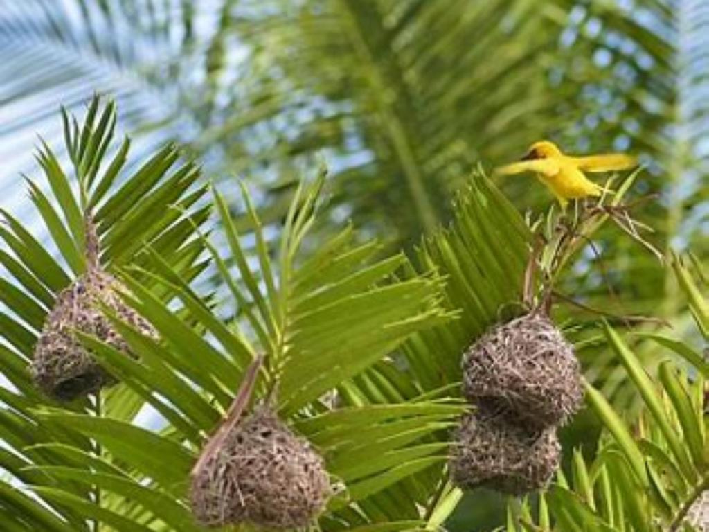 Hakuna Majiwe Beach Double -with Garden view