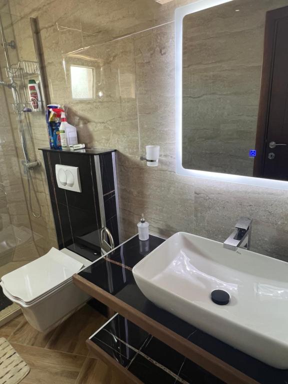 Koupelna v ubytování Apartman Scepanovic