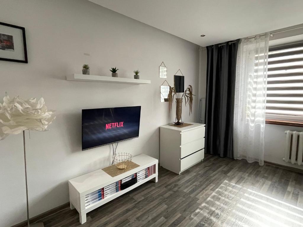 Televízia a/alebo spoločenská miestnosť v ubytovaní Apartament Gospodarcza