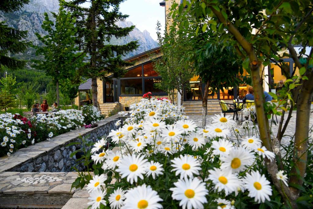 Zahrada ubytování Breezy Hotel