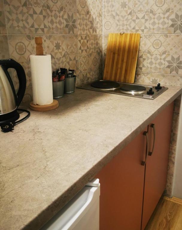 Η κουζίνα ή μικρή κουζίνα στο Sombor 19 Central Apartment