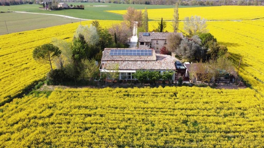 una vista aerea di una casa in mezzo a un campo di La Casa di Tara B&B Armonia e Natura a Recanati