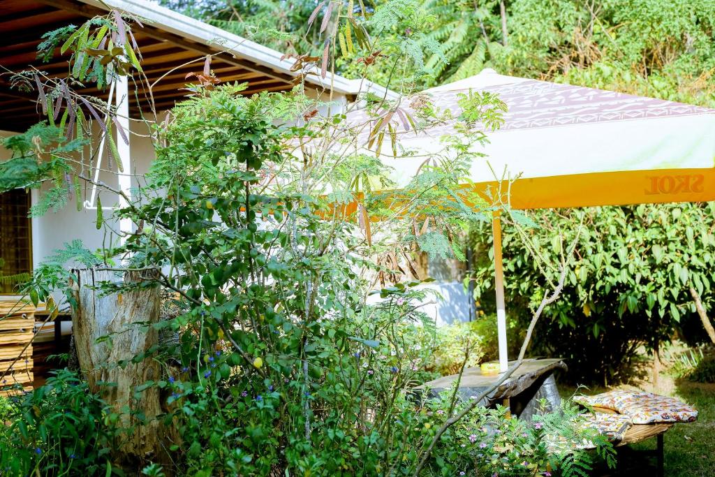 um jardim com um guarda-chuva amarelo e branco em INZOZI AFRICA HOUSE B&B-Kimihurura em Kigali