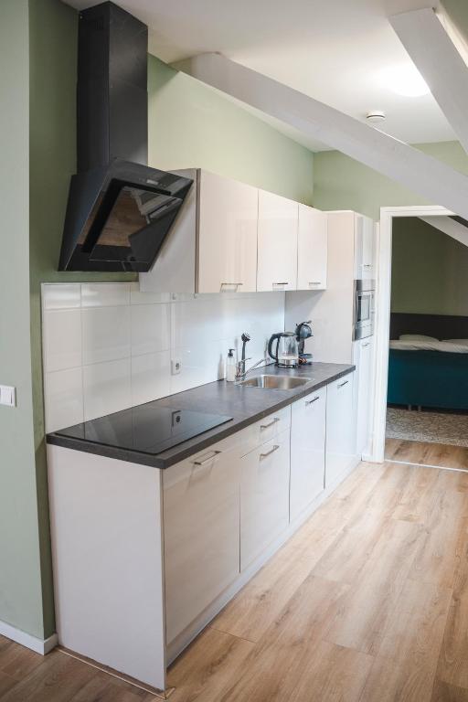 Kuchyň nebo kuchyňský kout v ubytování The Residence Enschede