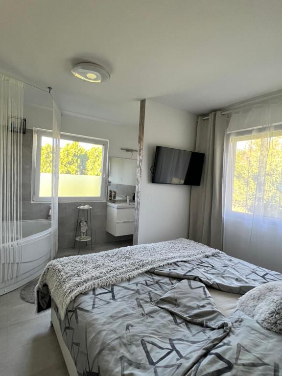 um quarto com uma cama, uma banheira e uma televisão em The Private House em Siófok