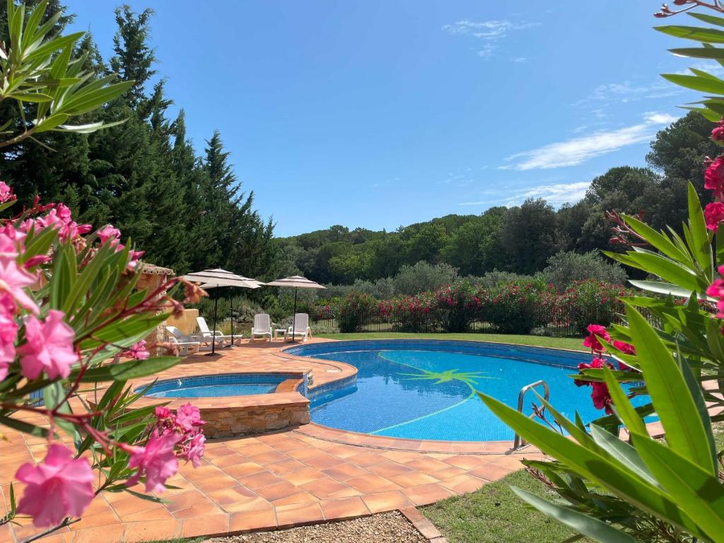 einen Pool im Garten mit rosa Blumen in der Unterkunft Mas des Lavandes - 3 gîtes de charme au calme avec grande piscine en Drôme-Provençale in Suze-la-Rousse