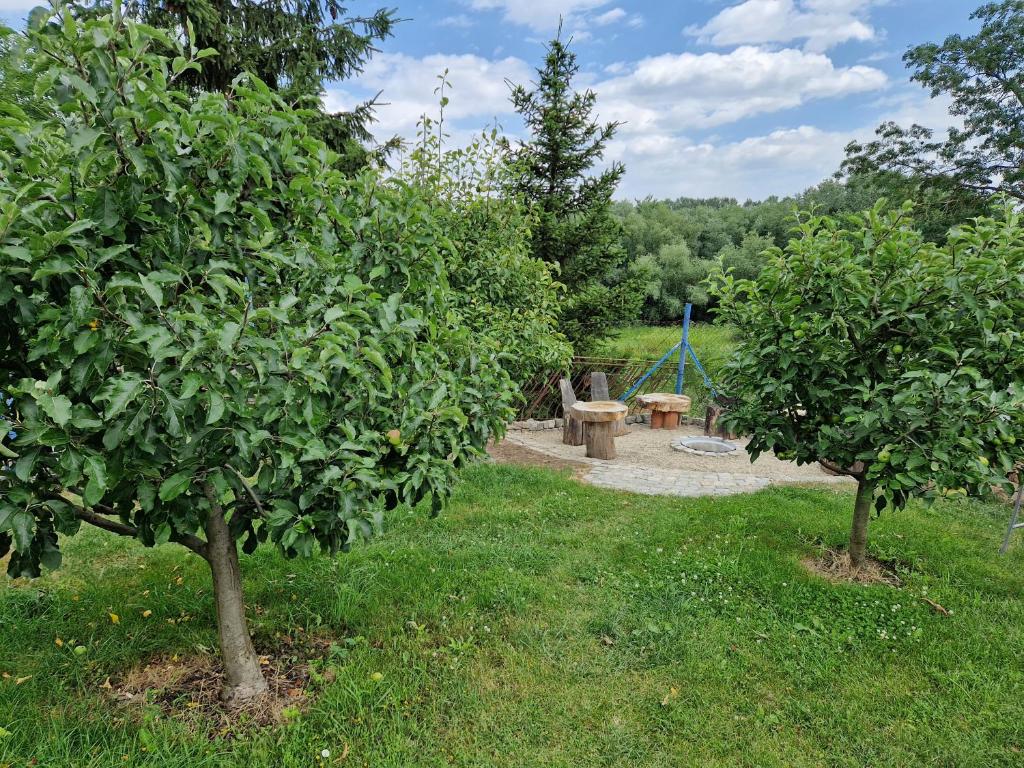 dos manzanos en un parque con una mesa de picnic en Ubytovani Klára, en Bulhary