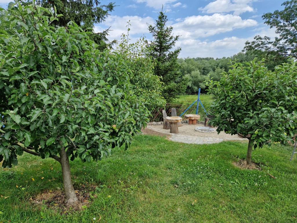 ブルハリにあるUbytovani Kláraの公園内のリンゴの木2本